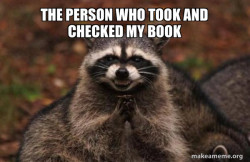 Evil Plotting Raccoon