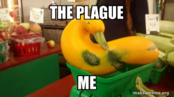 Gourd Advice Mallard