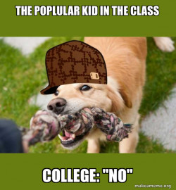 Scumbag dog
