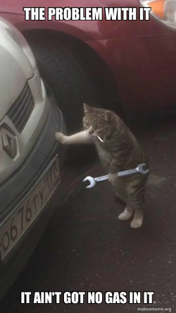 Mechanic Cat