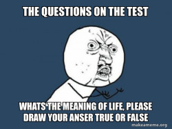 Y U No