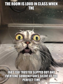 Cat bath