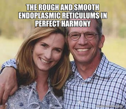 Good guy parents
