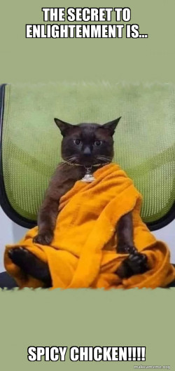 Zen Cat