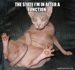 Hairless Cat