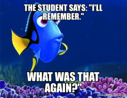 Dory from Nemo  (5 second memory)