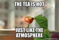 Kermit Drinking Tea