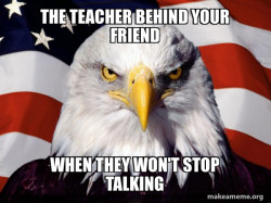 American Pride Eagle