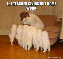 Scumbag Storytelling Dog