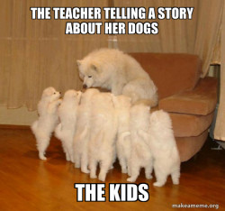 Storytelling Dog