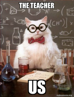 Chemistry Cat