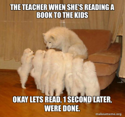 Storytelling Dog