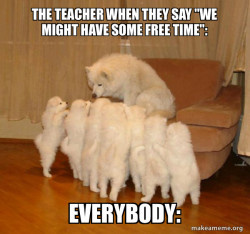 Storytelling Dog