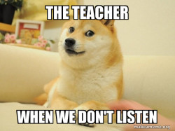 Doge
