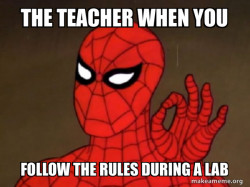 Spiderman - Care factor Zero