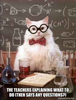 Chemistry Cat