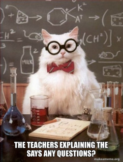 Chemistry Cat