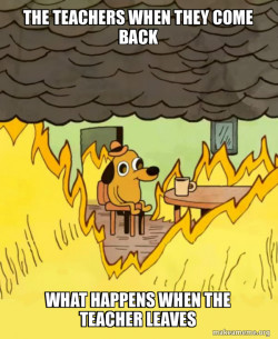 This Is Fine