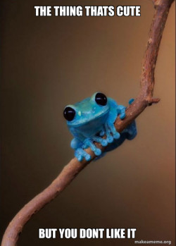 Small Fact Frog
