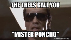 The Terminator