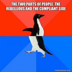 Socially Awesome Awkward Penguin