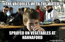 Lazy Elementary School Kid