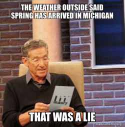 Maury Povich Lie Detector Test