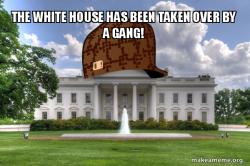 Gang occupation