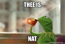 Kermit Drinking Tea