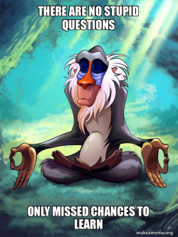 Rafiki Meditating - Lion King