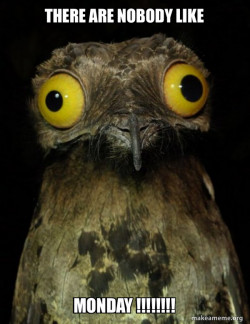 Weird Stuff I do Potoo