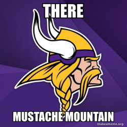 Minnesota Vikings