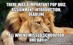 Confession Lion