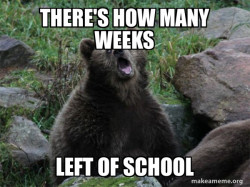 Sarcastic Bear