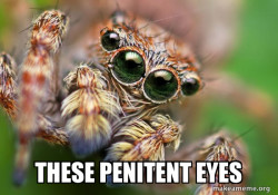 Hipster Spider