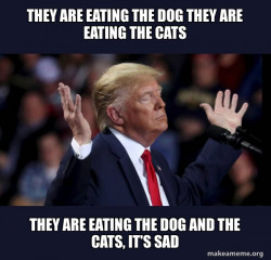 Trump Impeached