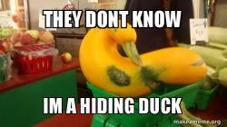 Gourd Advice Mallard