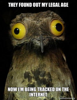 Weird Stuff I do Potoo