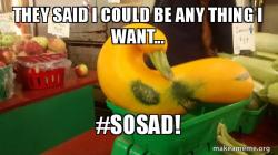 Gourd Advice Mallard