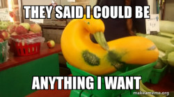 Gourd Advice Mallard