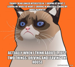Cartoon Grumpy Cat