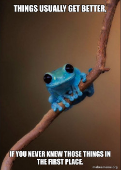 Small Fact Frog