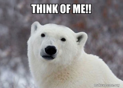 Popular Opinion Polar Bear