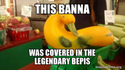 Gourd Advice Mallard