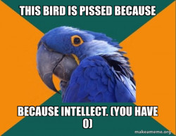 Paranoid Parrot