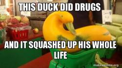 Gourd Advice Mallard