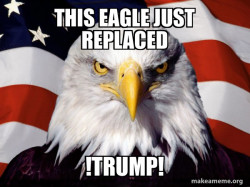 American Pride Eagle
