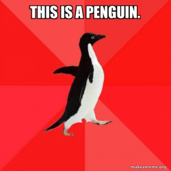  Penguin