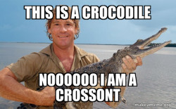 Steve irwin