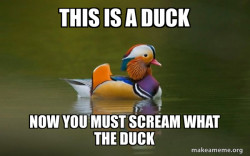 Fashionable Advice Mallard